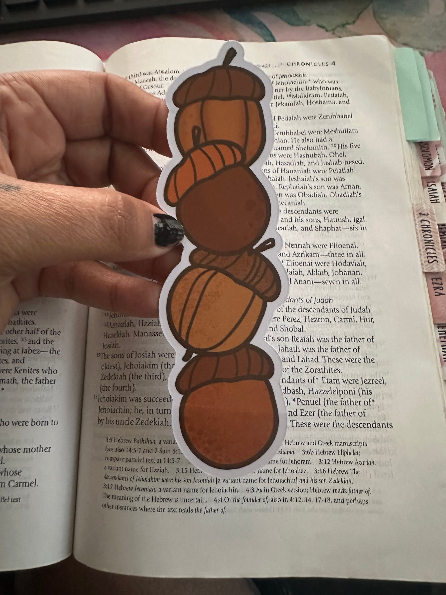 Acorn Stack (bookmark)